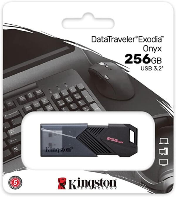 KINGSTON USB FLASH 3.2 256GB DTXON