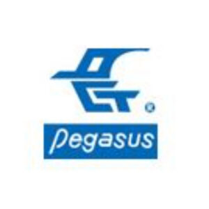 PEGASUS