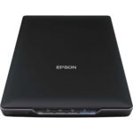EPSON SCANNER PERFECTION V19
